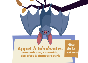 Appel à bénévoles, construction de gites à Chauves-souris