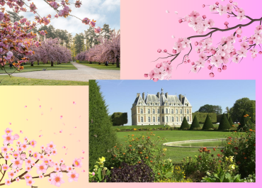 Visite château de sceau