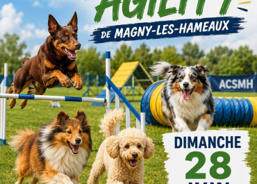concours Agility 2026